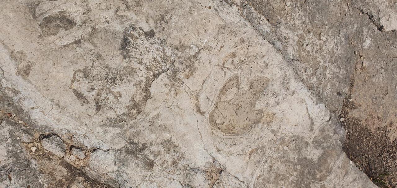 La Chirrichana 2 Bicorp المظهر الخارجي الصورة